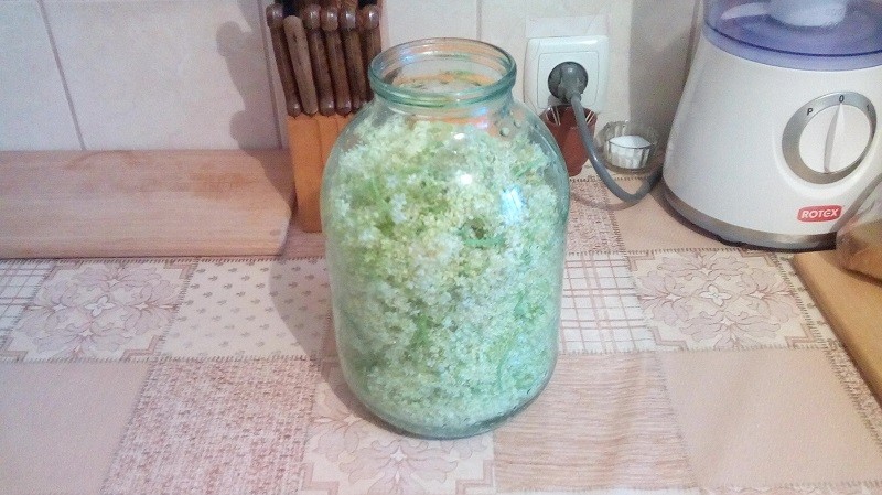Приготовление меда из бузины