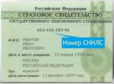 Что такое СНИЛС? Как он выглядит? Как узнать свой номер?