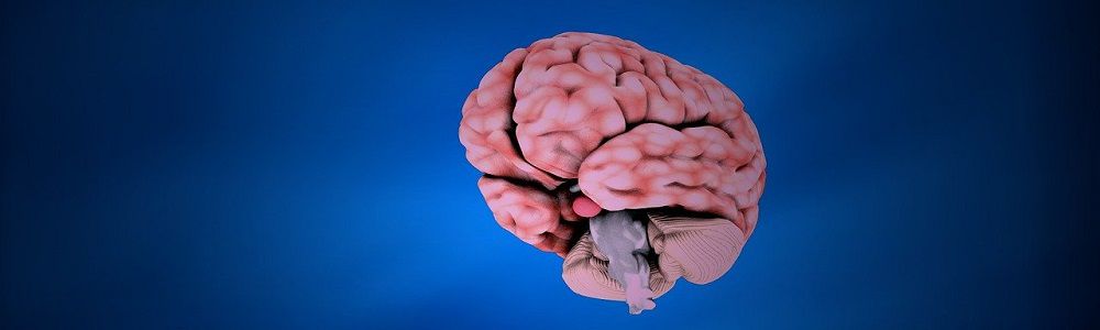 Тест для проверки IQ, смекалки и мыслительных способностей