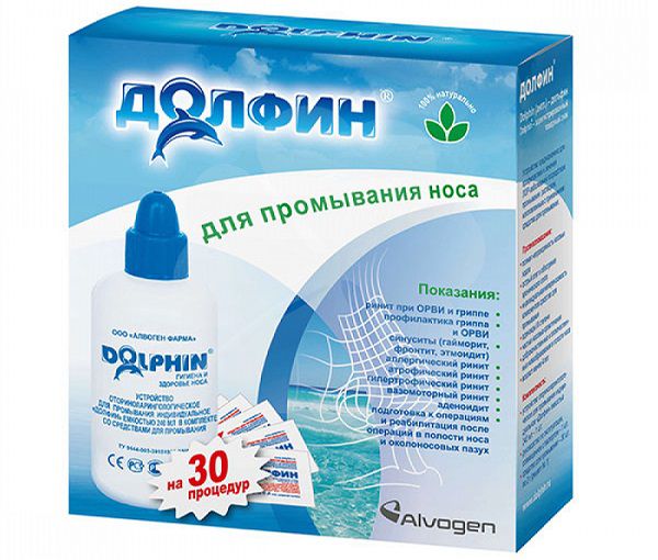 Долфин для взрослых
