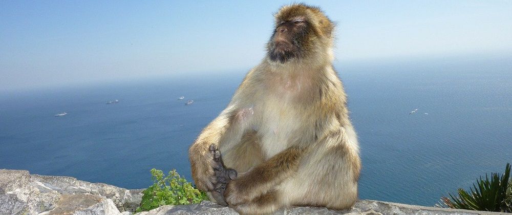 Личностный тест – насколько вы уверены в себе?