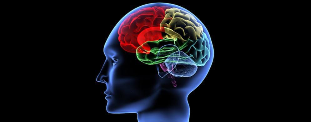 IQ-тест – разминка для интеллектуалов